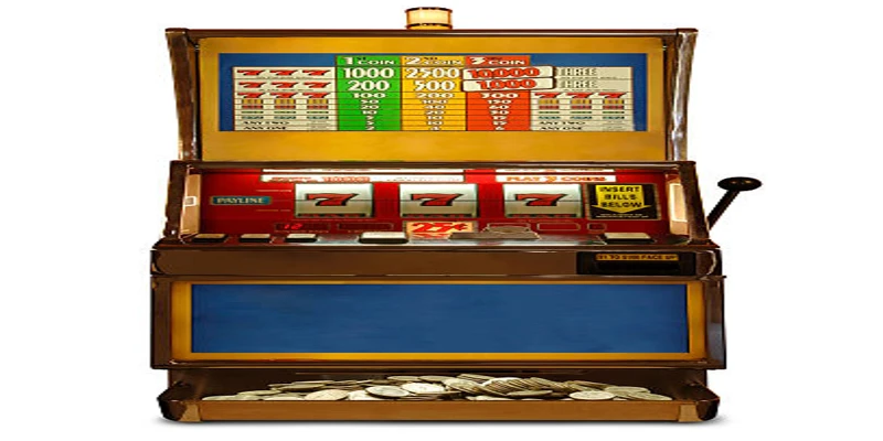 slot-game-entertainment-hub-Technological